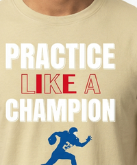 Champion Supima T-Shirt
